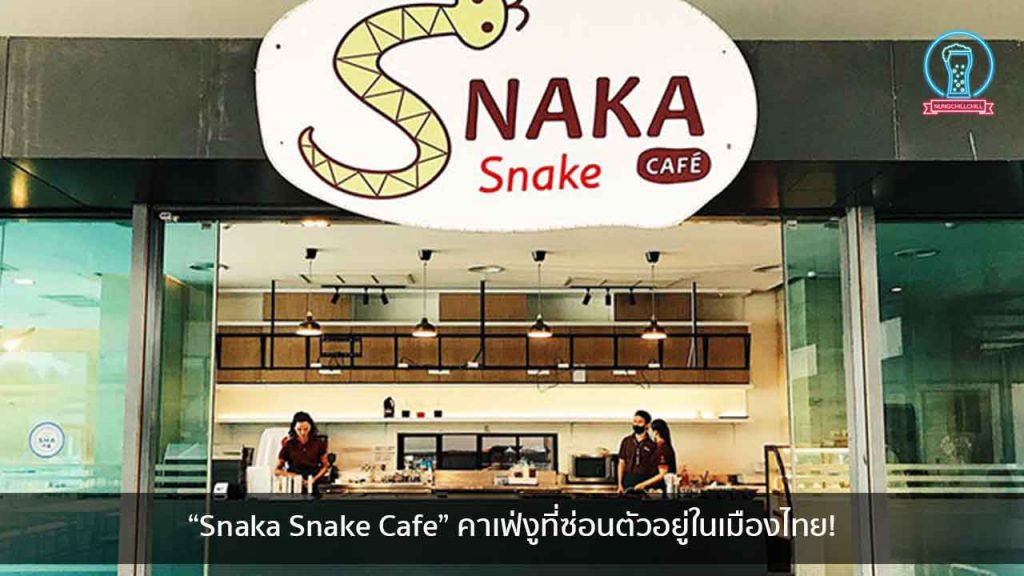 “Snaka Snake Cafe” คาเฟ่งูที่ซ่อนตัวอยู่ในเมืองไทย! nungchillchill บาร์ลับ ร้านนั่งชิล แฮงเอาท์ ร้านดาดฟ้า