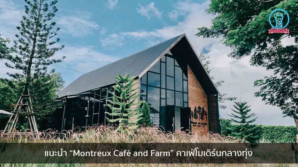 แนะนำ “Montreux Café and Farm” คาเฟ่โมเดิร์นกลางทุ่ง nungchillchill บาร์ลับ ร้านนั่งชิล แฮงเอาท์ ร้านดาดฟ้า